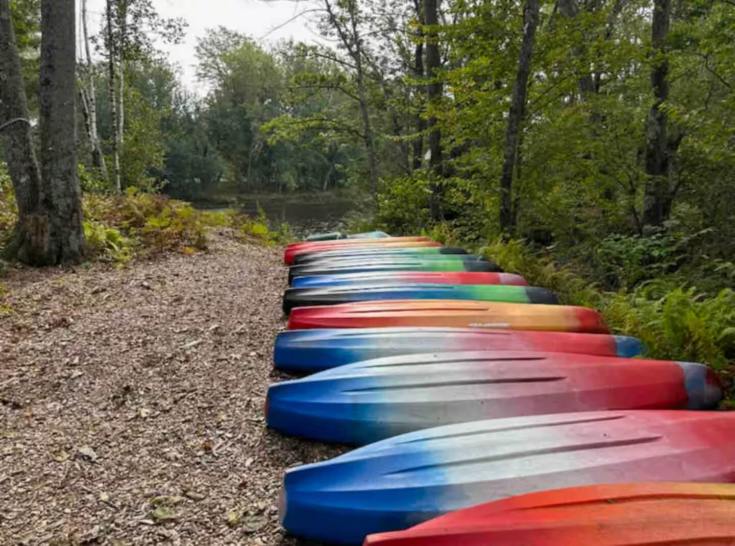 kayaks